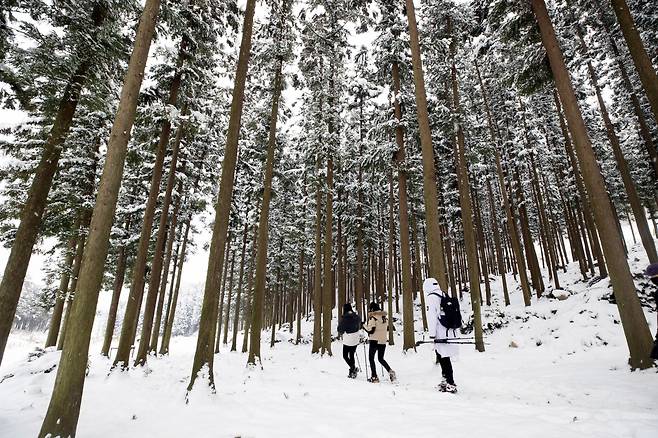 지난 1일 눈 쌓인 전남 장성군 축령산을 찾은 탐방객./김영근 기자