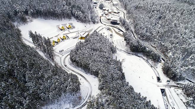 지난 1일 설국으로 변한 전남 장성군 축령산 일대 모습. 노란색 건물은 장성군이 운영하는 펜션단지./김영근 기자