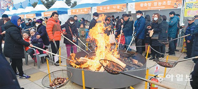 지난해 1월 열린 ‘겨울공주 군밤축제’에는 7만여 명이 다녀가면서 중부권 겨울철 최대 축제로 자리를 굳혔다. 이기진 기자 doyoce@donga.com