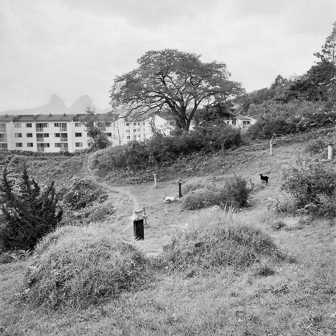 묏동연작. 2007. 김지연