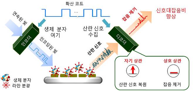 대역확산 라만 분광 기술 개념도. 직교성을 가지는 확산 코드로 인코딩된 빛으로 생체 분자를 여기시켜 생체 분자에서 산란되어 나오는 빛을 확산코드로 디코딩하여 표적 생체 분자의 산란 신호를 복원하는 기술로 잡음신호가 제거되어 신호대잡음비가 향상된다.[KAIST 제공]
