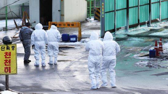 [이미지출처=연합뉴스]