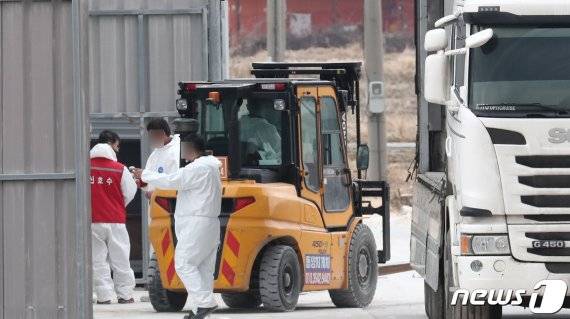 15일 충남 천안 성환읍에 위치한 산란계 농장에서 고병원성 조류인플루엔자(AI)가 발생해 해당 농장을 포함한 보호지역(3㎞) 내 68만여 마리의 가금류에 대한 살처분이 진행되고 있다. 사진=뉴스1