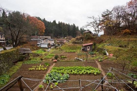 아버지 농사일을 돕던 소년은 흉년이 들어 살기 어려워지자 서울로 가 쌀 도매상 점원으로 일하며 주경야독한다. 성실한 그를 눈여겨 본 주인은 나중에 가게를 그에게 넘긴다. 현대 정주영 씨의 젊은 날 얘기다. [사진 pxhere]