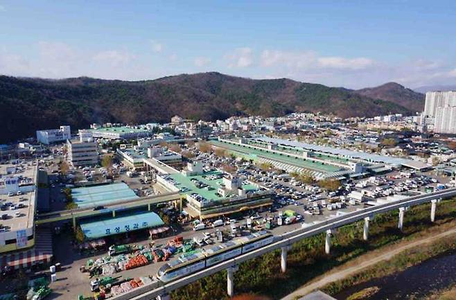 대구농수산물도매시장 청과부류 전경. 대구시 제공