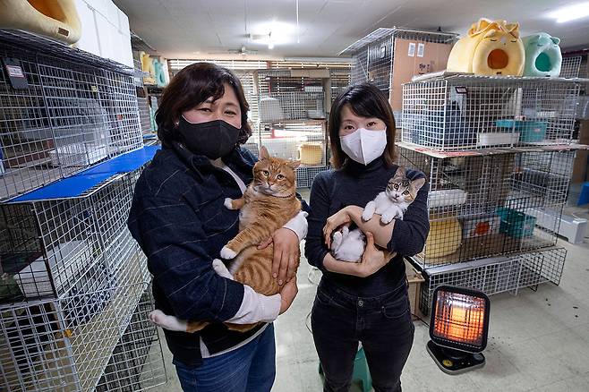 ⓒ시사IN 조남진서울 동대문구 이문동 재개발 지역에 위치한 구조 고양이 쉼터 ‘이문냥이 프로젝트’ 임시보호소에서 문성실씨(왼쪽)와 권보라씨가 태평이(왼쪽)와 코딱지를 안고 있다.