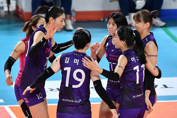 여자배구 흥국생명이 올 시즌 열린 IBK기업은행과 4경기에서 모두 세트스코어 3-0 '셧아웃' 으로 승리하는 진기록을 세웠다. [사진=KOVO 한국배구연맹 제공]
