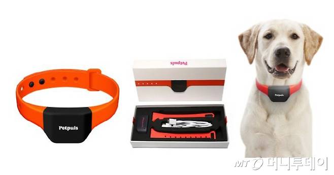 반려견의 짖는 소리를 5가지 유형으로 분류해 감정을 알아내는 기기인 펫펄스. CES2021에서 최고혁신기술상을 받았다./사진제공=너울정보통신