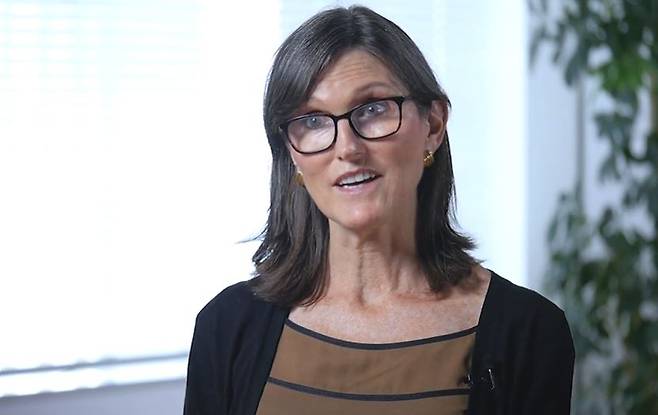 캐시 우드 아크인베스트 대표[아크인베스트 홈페이지 영상 갈무리]