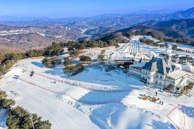 대명비발디파크 토네이도 썰매