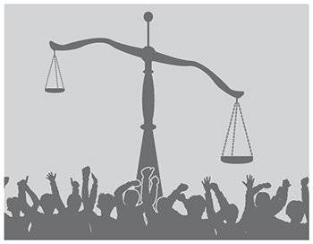 선데이칼럼 1/16