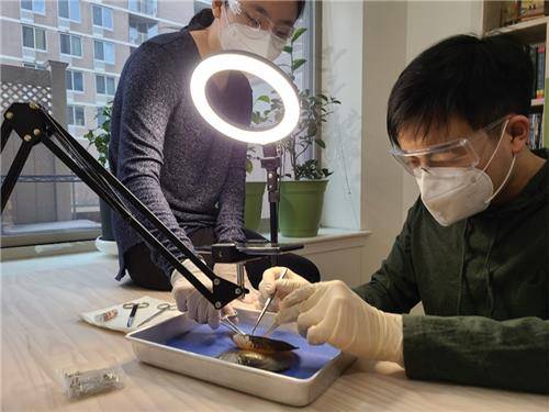 재미동포 쌍둥이 남매 김재아(왼쪽)와 김재정이 해부 영상을 만들고 있다 [출처:미주한국일보]