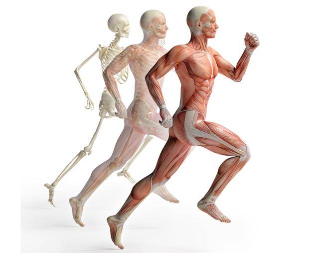 ©게티이미지뱅크