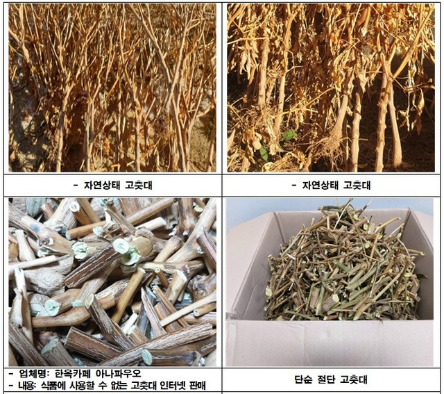 [서울=뉴시스] 고춧대(고춧대환, 고춧대 액상차, 고춧대)위반 제품 (사진=식품의약품안전처 제공)