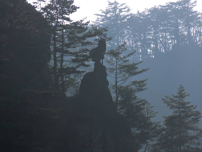 전설 속의 새로 알려진 청학의 형상으로 알려진 학유대도 무릉계곡에 있다.