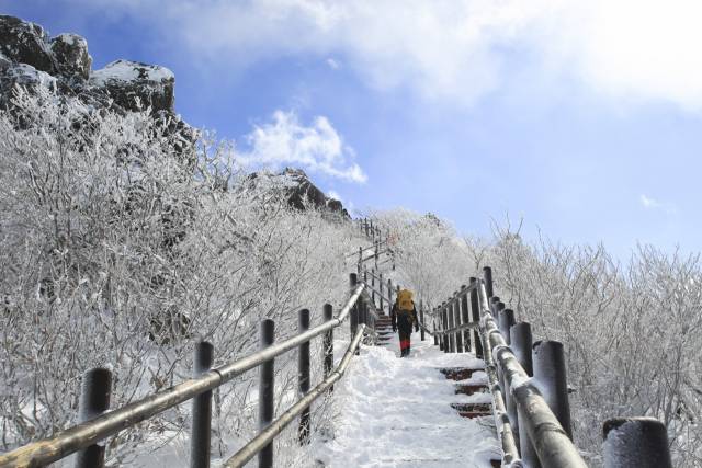 설천봉에서 향적봉으로 오르는 마지막 관문인 나무계단. 이 구간부터 고개를 들기 어려울 정도로 강한 바람이 몰아친다.