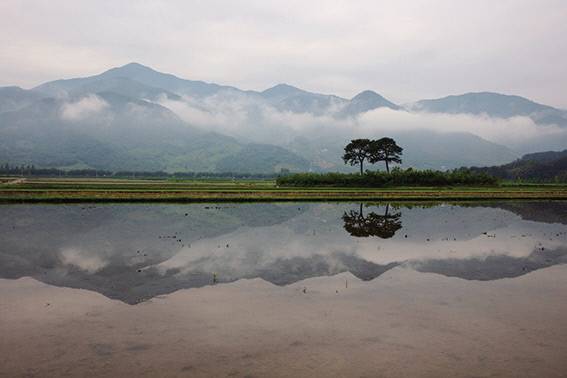 ‘지리산 둘레길’ 중 평사리 부부송. 아트제 제공