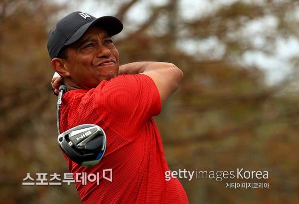 타이거 우즈 / 사진=Gettyimages 제공