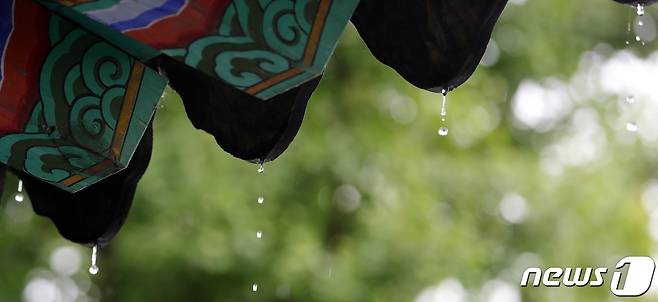 자료 사진. © 뉴스1