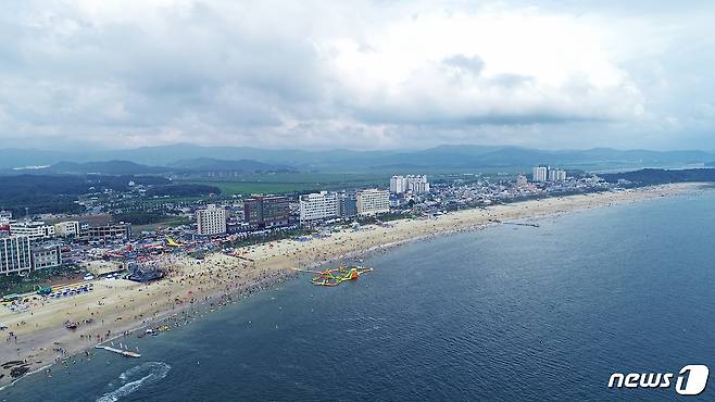 대천해수욕장 전경(보령시 제공)© 뉴스1