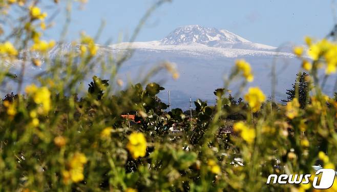 2021.1.19/뉴스1 © News1 오현지 기자