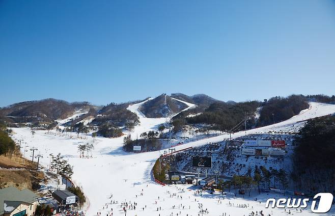 원주 오크밸리리조트 스키장. (오크밸리리조트 제공) © 뉴스1