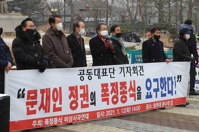 무소속 홍준표 의원이 12일 오후 청와대 분수대 앞에서 열린 '폭정종식 민주쟁취 비상시국연대' 공동대표단 기자회견에서 발언하고 있다./연합뉴스