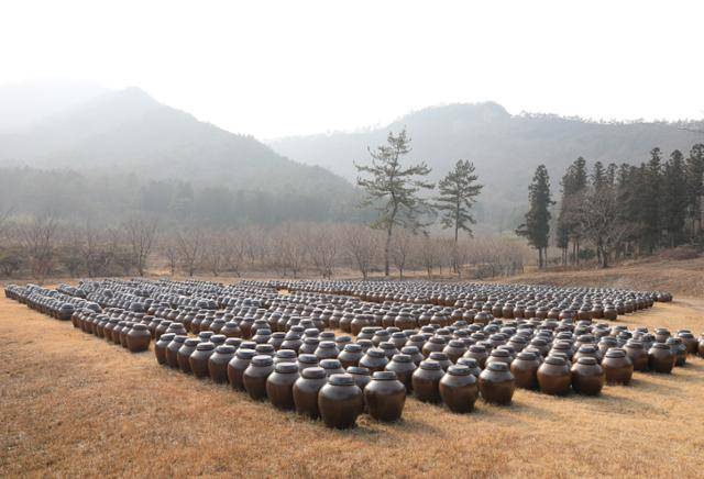 국내 유일 흑초 생산지인 비니거파크의 항아리 행렬. ⓒ박준규