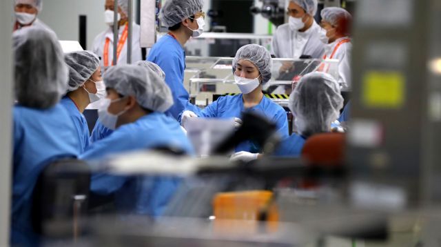 20일 오전 경북 안동시 SK바이오사이언스 공장에서 직원들이 아스트라제네카 백신 포장 작업을 하고 있는 모습. 연합뉴스