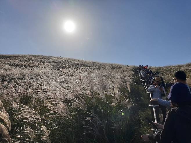 제주를 찾은 관광객들이 제주시 애월읍 새별오름에서 가을 정취를 만끽하고 있다. 임성준 기자
