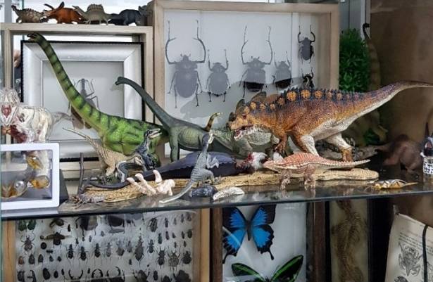 내 방 책장의 모습이다. 어렸을적 부터 모은 곤충 표본과 공룡 피규어로 가득 차 있다. 김도윤 작가 제공