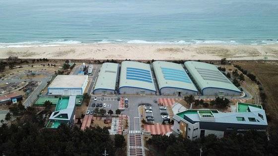 대서양연어 양식을 연구 중인 강원도 환동해본부 한해성수산자원센터. 왕준열PD