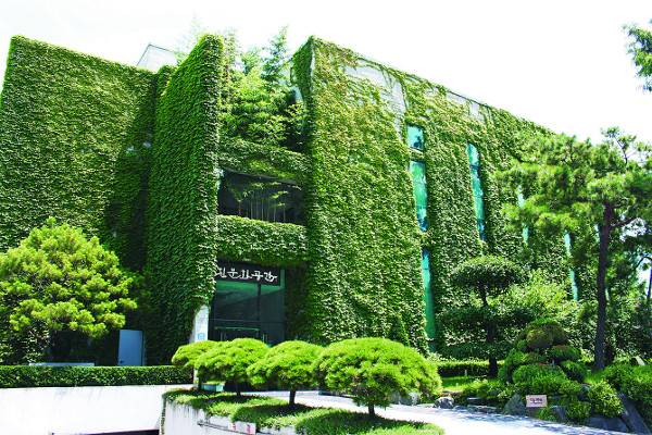 담쟁이 넝쿨이 건물을 감싸고 있는 우진문화공간 본관 전경. 층고 높은 전시실과 7개의 연습실, 별채에 예술극장을 갖췄다. 우진문화공간 제공