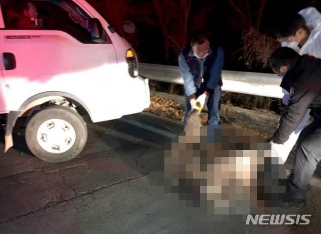 [여수=뉴시스] 변재훈 기자 = 25일 오후 6시41분께 전남 여수시 소라면 사곡리 편도 1차선 도로에서 A(59·여)씨가 몰던 승용차가 멧돼지를 들이받았다. 이 사고로 운전자 A씨가 경상을 입고 병원으로 옮겨졌다. (사진=전남 여수소방 제공) 2021.01.25. photo@newsis.com