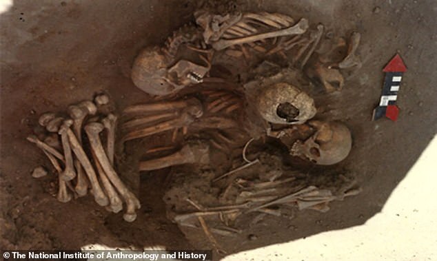 유럽인의 유해. 뼈에서는 살이 제거된 흔적이 남아있다.(사진=멕시코 국립 인류학·역사연구소)