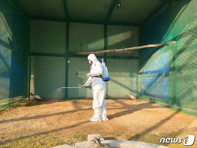 창녕군 관계자가 지난 25일 우포따오기복원센터에서 방역을 진행하고 있다. © 뉴스1