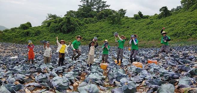 제천 농업회사법인 청년마을이 운영하는 사회적 농장.