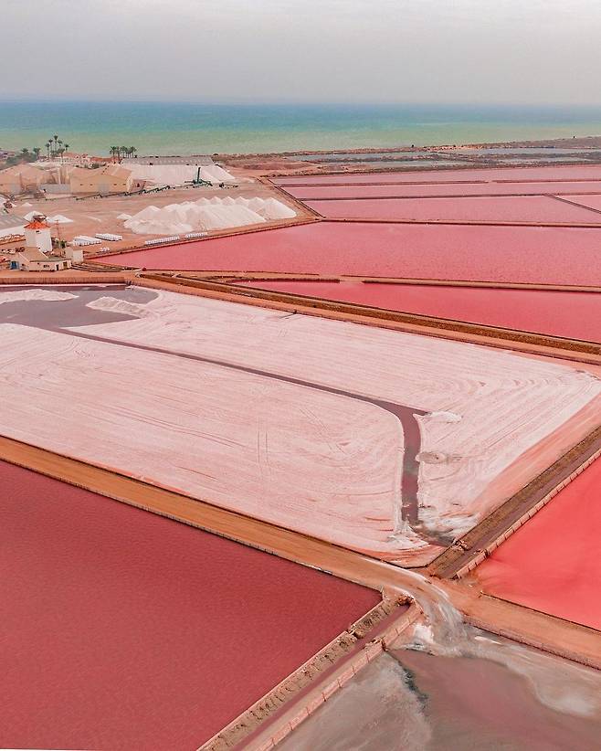 지중해 인근 무르시아 산페드로 델 피나타르의 가을