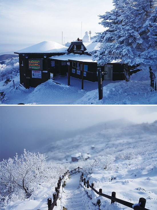 숙박이 가능한 향적봉 대피소, 향적봉 대피소 가는 길