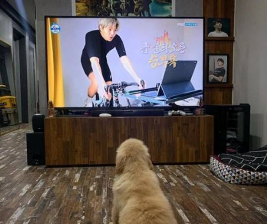 박은석 인스타그램