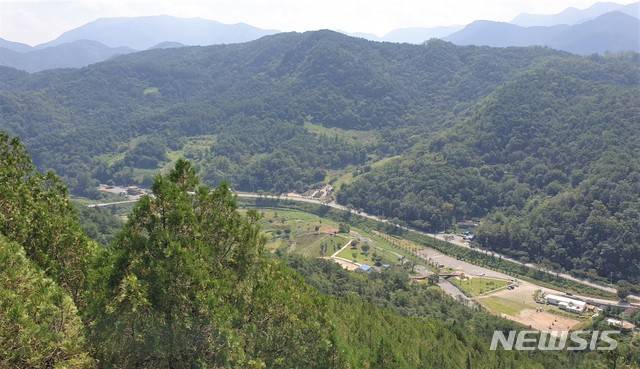 제천 수산면 측백나무 숲