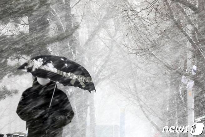 수도권 일부 지역에 대설주의보가 발효된 28일 오전 경기도 과천시내에 눈이 내리고 있다. 2021.1.28 /뉴스1 © News1 조태형 기자