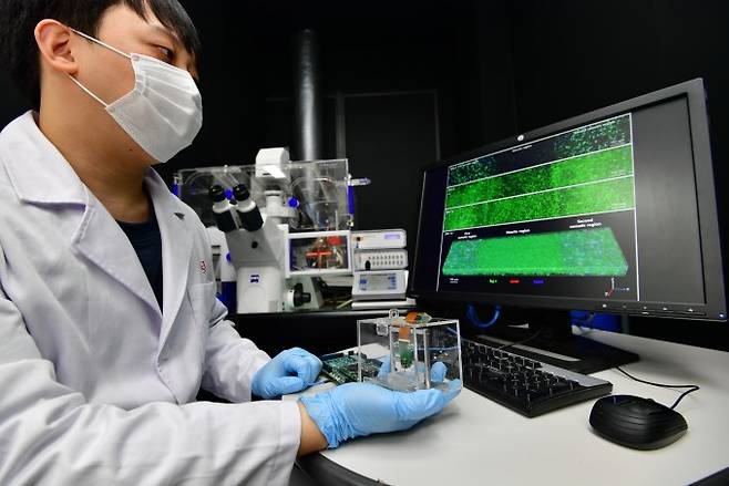 연구팀이 3D 뇌 신호 측정 시스템을 이용해 인공 뇌 회로에서 신경세포의&nbsp;신호를 읽어내고 있다. KIST 제공