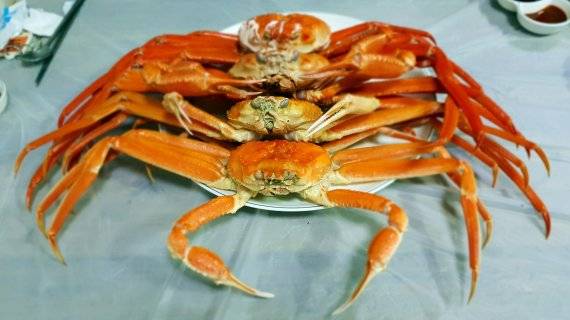 울진 대게 /사진=조용철 기자