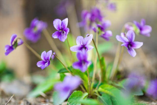 게티이미지뱅크