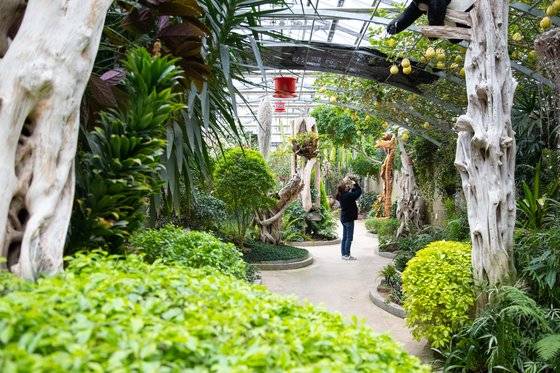 베어트리파크 창업주가 가장 아끼는 공간인 '만경비원'. 괴목과 다육식물, 열대식물이 예술작품처럼 어우러져 있다. 최승표 기자
