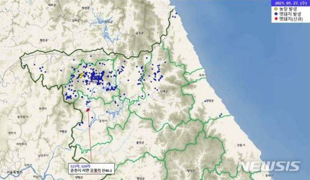 ASF 감염 멧돼지 발견 지점
