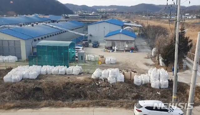 27일 고병원성 AI 확진 판정을 받은 경기 파주시의  산란계 농가에서 살처분이 이뤄지고 있다. (사진=파주시 제공)