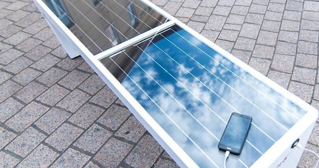 출처=스테오라(steora)