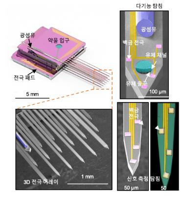 KIST 연구진이 제작한 3차원 인공 뇌 회로 측정용 다기능 3D 전극 어레이 [KIST 제공. 재판매 및 DB 금지]